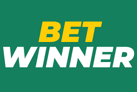 Experience the Excitement of Betwinner Casino Your Ultimate Gaming Destination